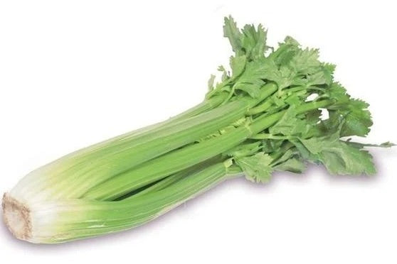 Celery American, bunch